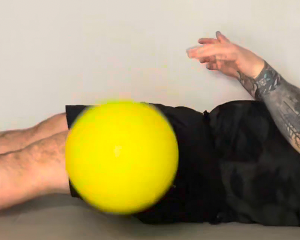 Dribbler