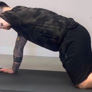 Gainage à 4 pattes