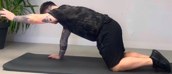Gainage à 4 pattes