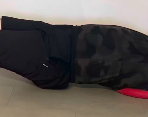 Muscles stabilisateurs