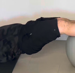 Pont Swiss Ball