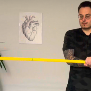 Renforcement pronation / supination