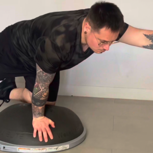 Bird dog Bosu